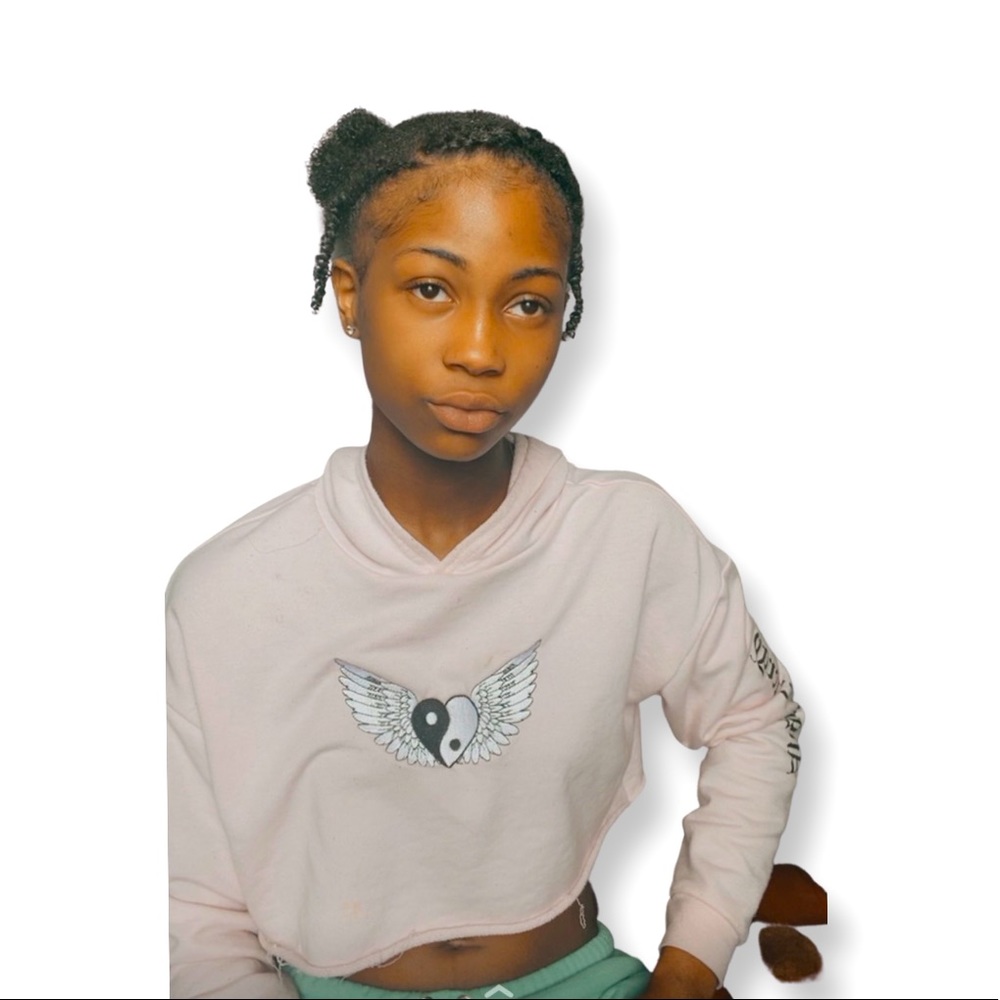 Favorite Hoodie Baby Pink Crop
